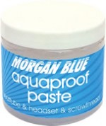 img_morganblue_aquqproof-paste02